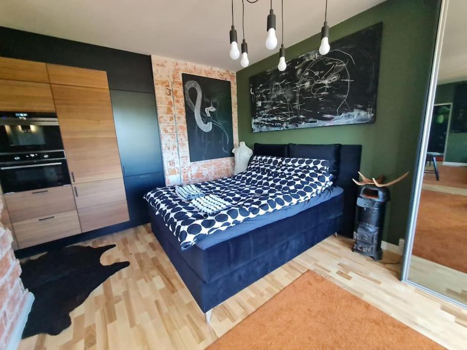 Rovio Art Apartments Gummeruksenkatu 5 Jyvaeskylae المظهر الخارجي الصورة